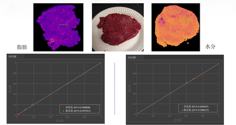圖 9：事實證明，Specim FX17 高光譜相機及其 NIR 光譜範圍非常善於準確測量肉末的水分和脂肪含量